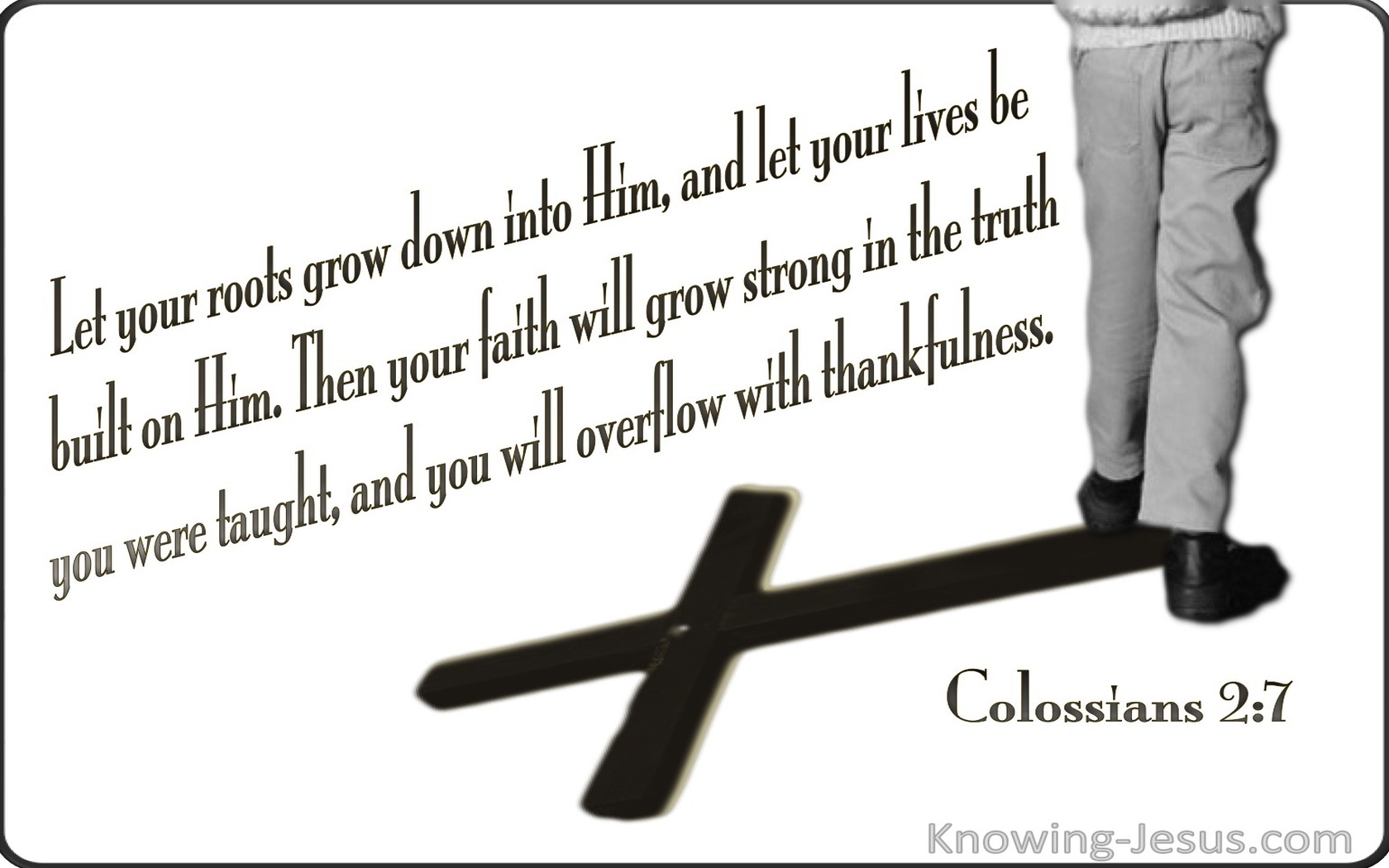 Colossians 2:7 Rooted In Christ (white)